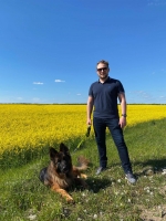 vom Trojangold, hodowla Owczarków Niemieckich Długowłosych