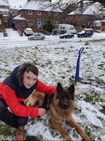 vom Trojangold, hodowla Owczarków Niemieckich Długowłosych