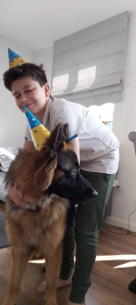 vom Trojangold, hodowla Owczarków Niemieckich Długowłosych