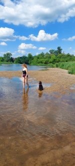 vom Trojangold, hodowla Owczarków Niemieckich Długowłosych