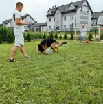 vom Trojangold, hodowla Owczarków Niemieckich Długowłosych