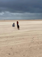 vom Trojangold, hodowla Owczarków Niemieckich Długowłosych