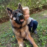 vom Trojangold, hodowla Owczarków Niemieckich Długowłosych