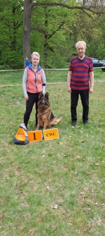 vom Trojangold, hodowla Owczarków Niemieckich Długowłosych