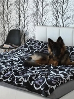 vom Trojangold, hodowla Owczarków Niemieckich Długowłosych