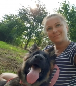 vom Trojangold, hodowla Owczarków Niemieckich Długowłosych