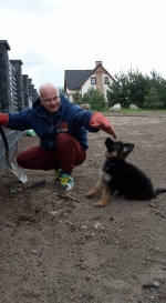 vom Trojangold, hodowla Owczarków Niemieckich Długowłosych