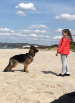 vom Trojangold, hodowla Owczarków Niemieckich Długowłosych